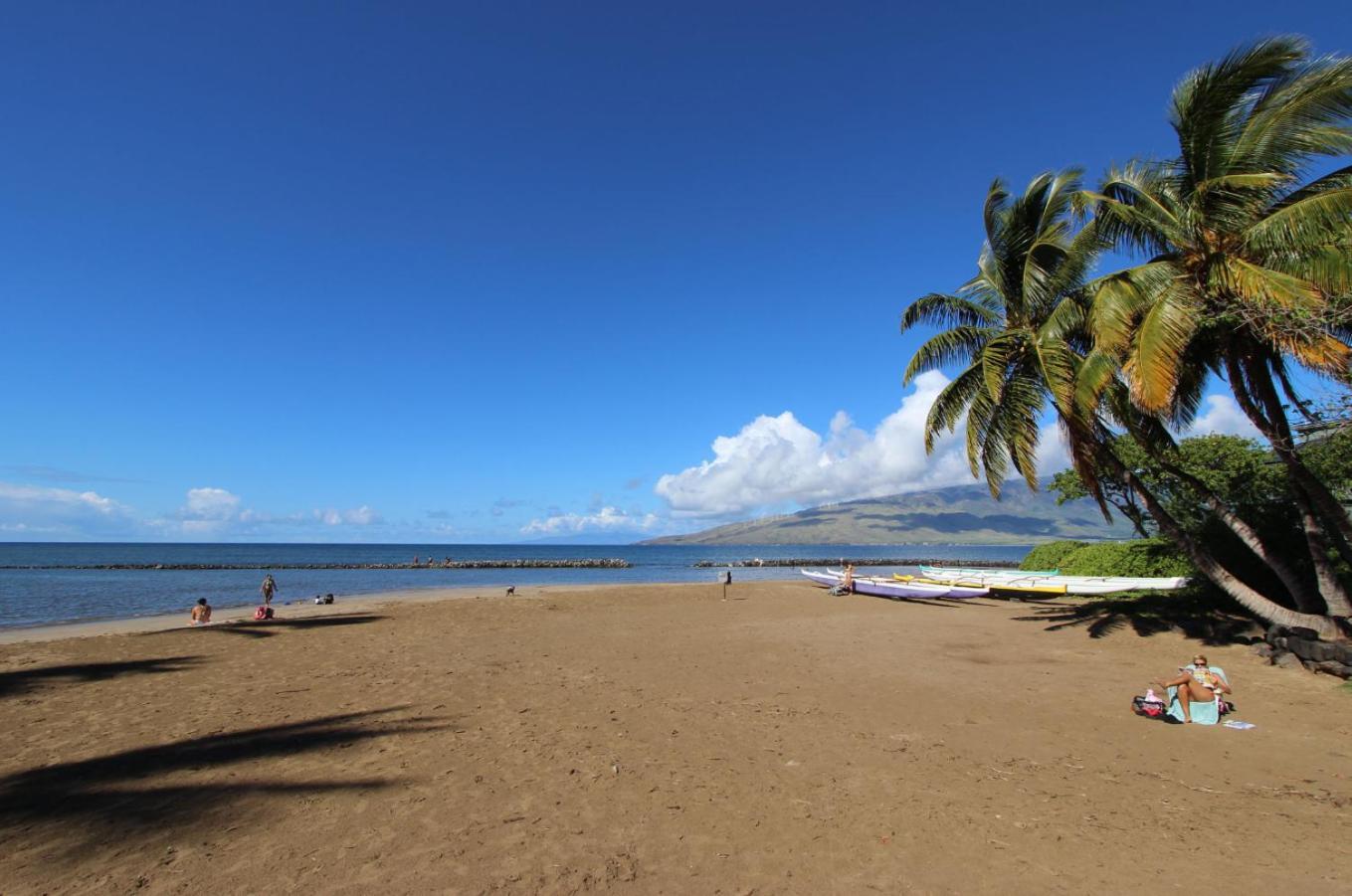 קיהיי Cozy Maui Studio Retreat Just Steps To The Sand! מראה חיצוני תמונה
