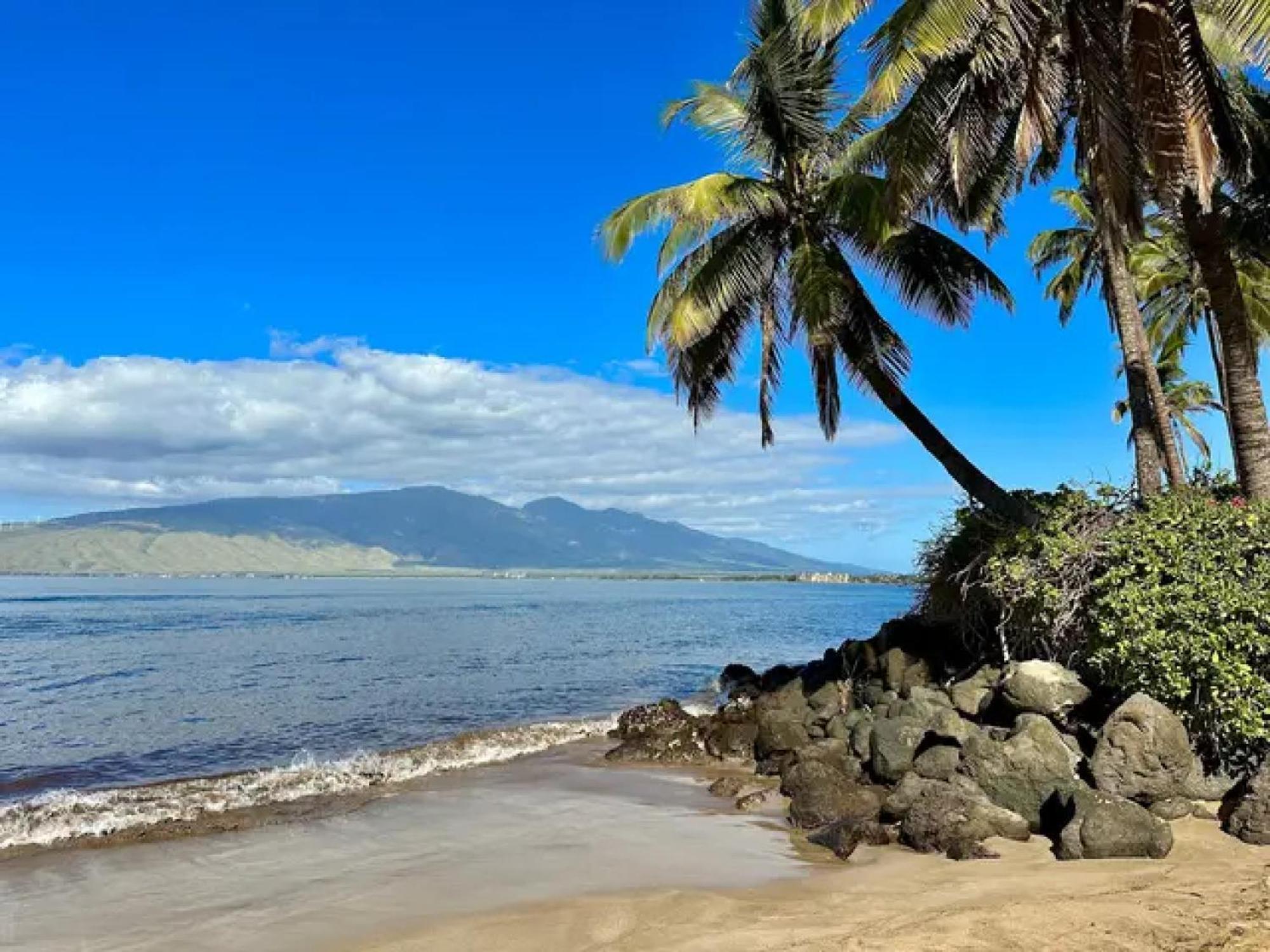 קיהיי Cozy Maui Studio Retreat Just Steps To The Sand! מראה חיצוני תמונה